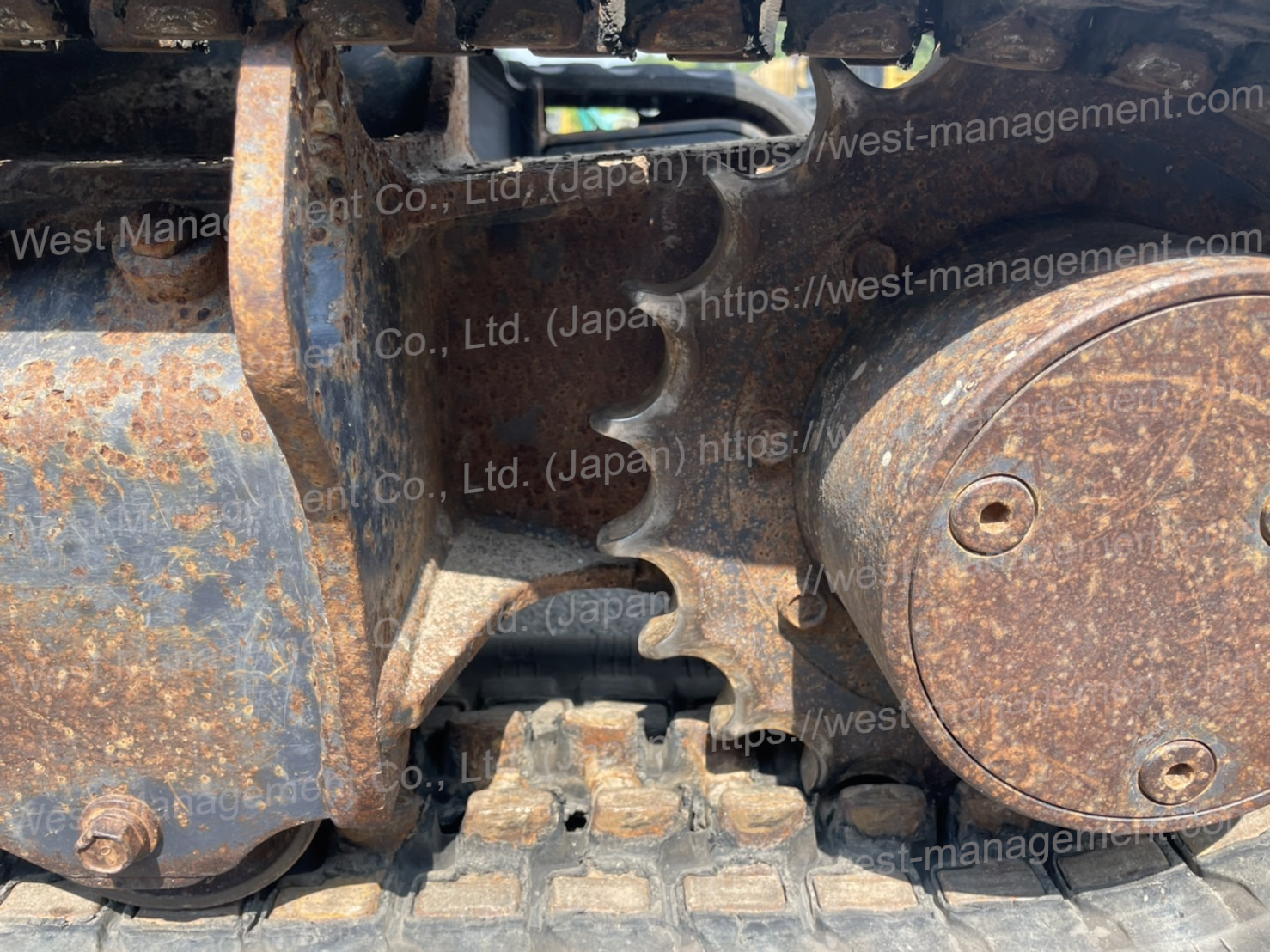 透かし付きS__33062960